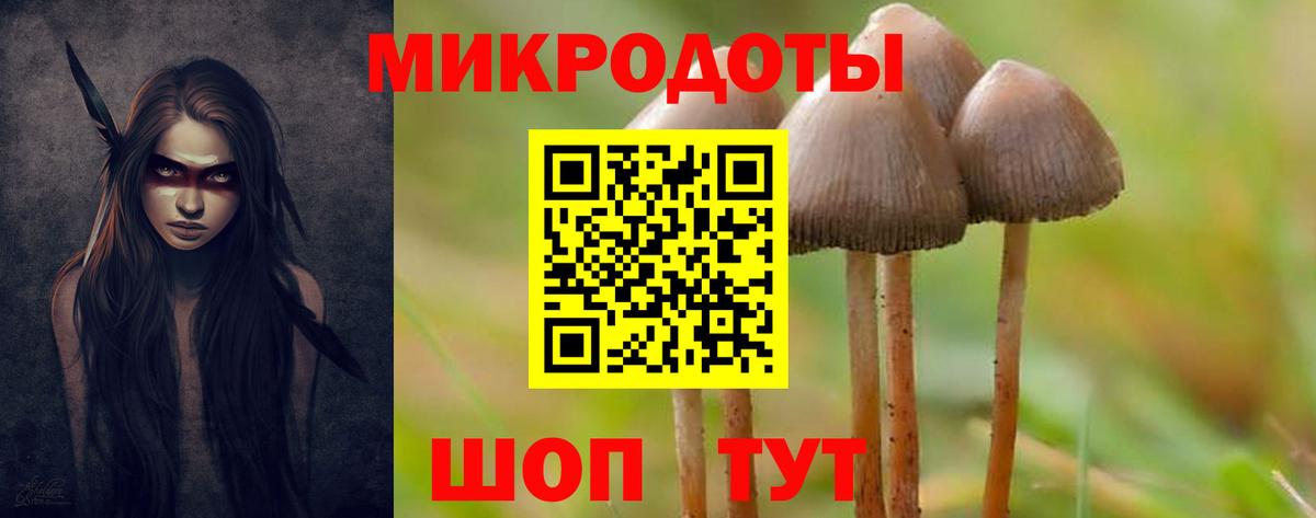 Каменка  Галлюциногенные грибы Magic Shrooms  Вход с VPN 